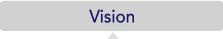 vision